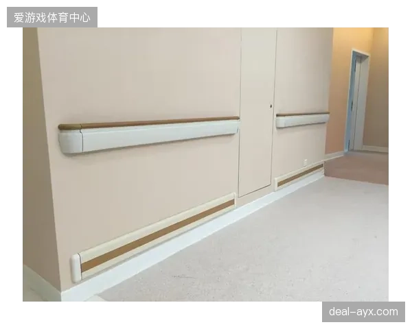 无障碍通道的S形铁桩与卫生间的杂物堆：谁该为体育场馆的“二次障碍”负责？