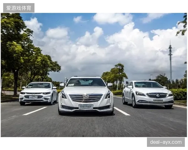 红牛青训小将林德布拉德在RB车队表现稳健，已超额完成赛季初预期。